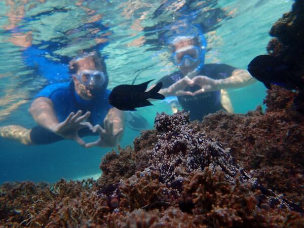 Een snorkel is genoeg om de onderwaterwereld van Porto Santo de ervaren