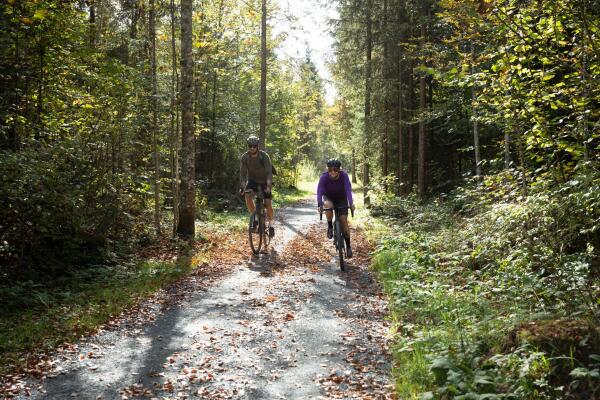 Door bossen en dalen, gravelbiken in het Pillerseetal in Tirol ©Tirol Werbung, Oliver Soulas