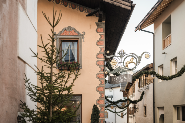 Cavalino d'Oro outside winter