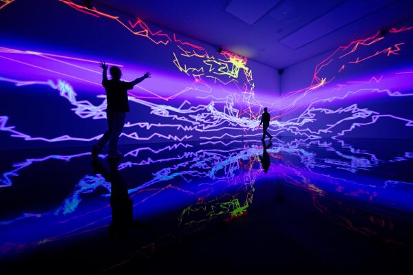 Miguel Chevalier, Digital by Nature, c/o Pictoright Amsterdam 2026, picture by Thomas Granovsky