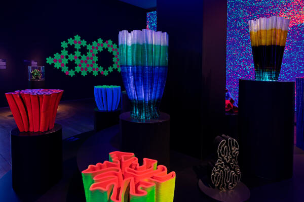 Miguel Chevalier, Coral Stratigraphy, c/o Pictoright Amsterdam 2026, picture by Thomas Granovsky